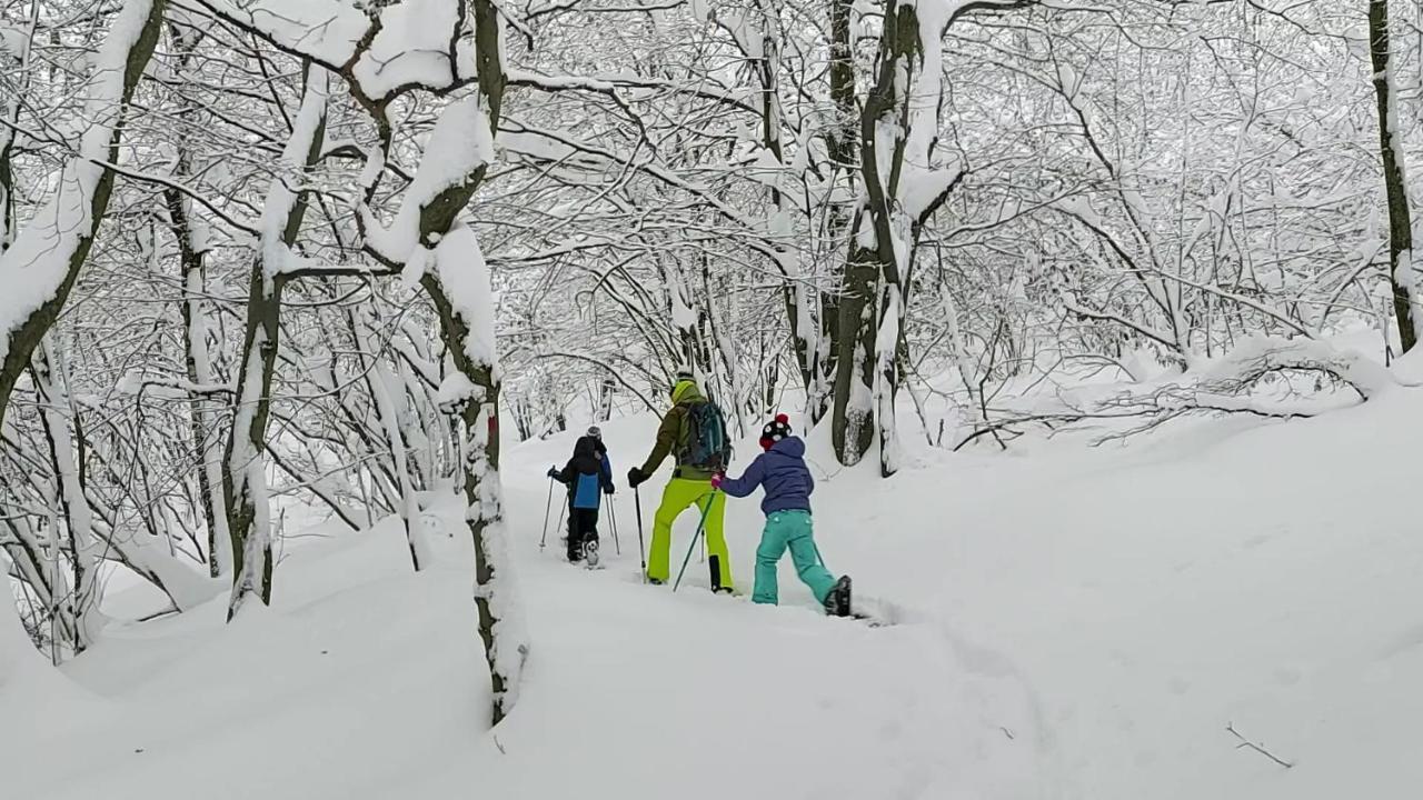 Gran Paradiso Alpette Экстерьер фото